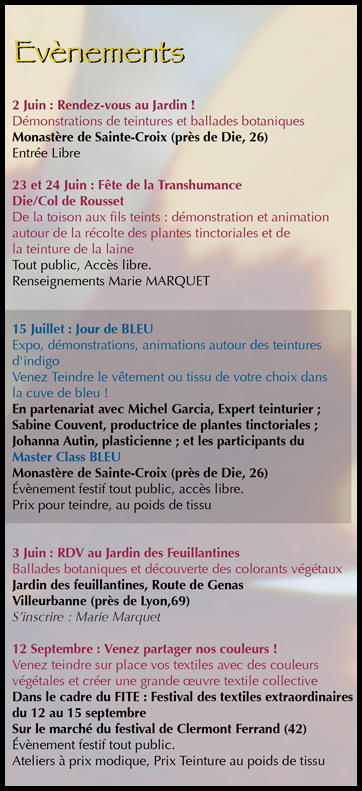 animation et rencontre villeurbanne