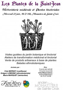 Plantes-de-la-Saint-Jean-au-Monastère-de-Sainte-Croix