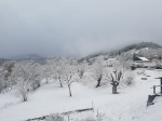 Parc-Hiver-Ancien-Monastere-Ste-Croix.jpg